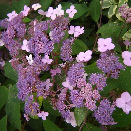 Pensjonat Le Nid D'omer Saint-Omer-de-Blain