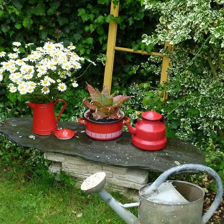 Le Nid D'omer Pensjonat