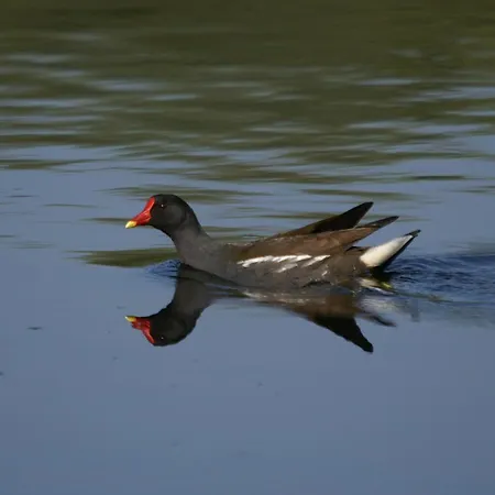 Le Nid D'omer Pensjonat