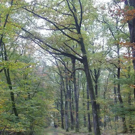 Pensjonat Le Nid D'omer