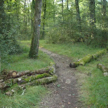 Le Nid D'omer 3* Saint-Omer-de-Blain