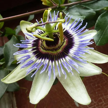 Le Nid D'omer Saint-Omer-de-Blain