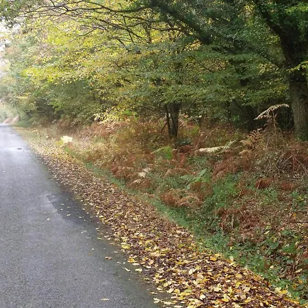 Le Nid D'omer Pensjonat 3*