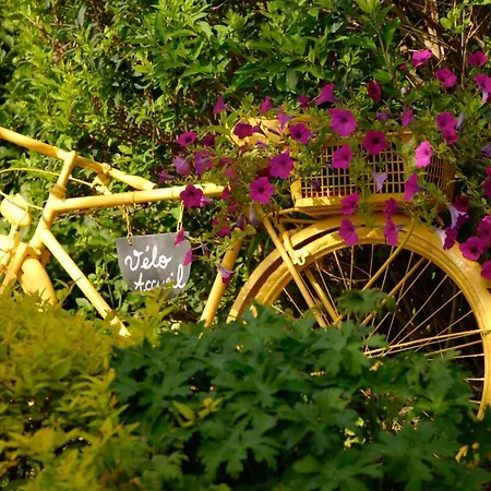 Le Nid D'omer Pensjonat Saint-Omer-de-Blain