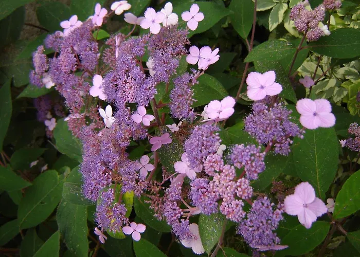 Maison d'hôtes Le Nid D'omer Saint-Omer-de-Blain