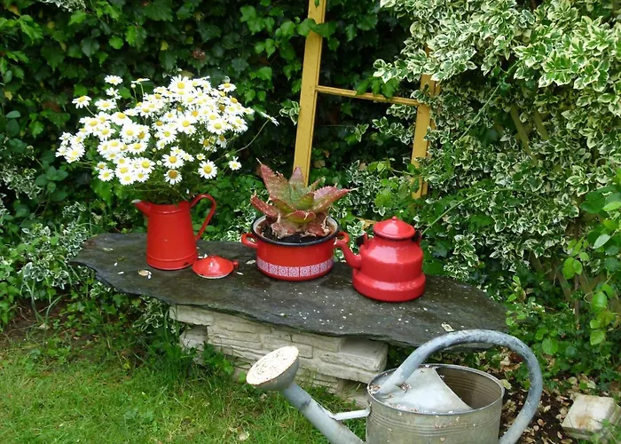 Le Nid D'omer Maison d'hôtes