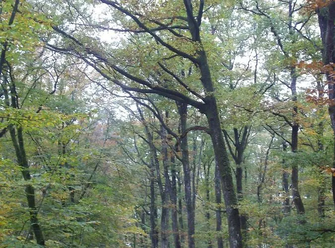 Maison d'hôtes Le Nid D'omer