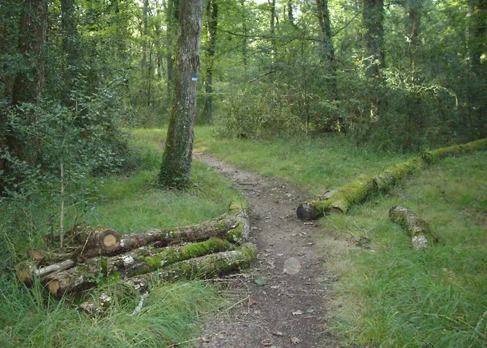 Le Nid D'omer 3* Saint-Omer-de-Blain