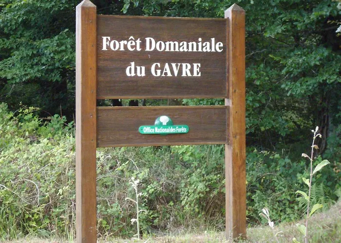 Maison d'hôtes Le Nid D'omer 3*