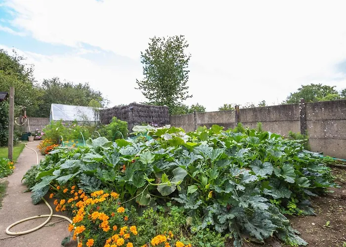 Maison d'hôtes Le Nid D'omer