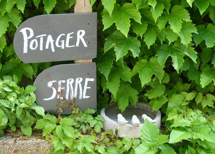 Le Nid D'omer Maison d'hôtes