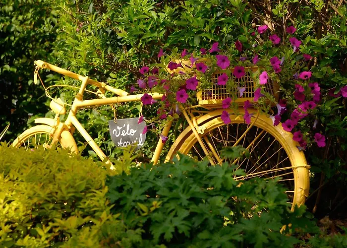 Le Nid D'omer Maison d'hôtes Saint-Omer-de-Blain